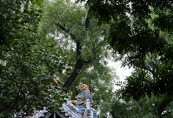 晋祠博物馆第 235 张图片