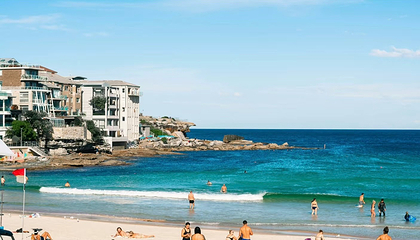 邦迪海滩第 22 张图片