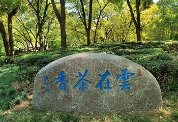 虎丘山风景名胜区第 101 张图片