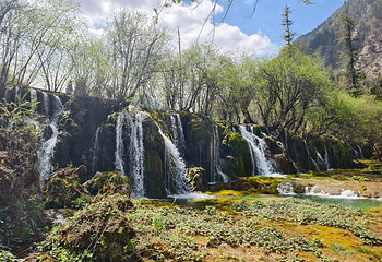 九寨沟风景区第 428 张图片