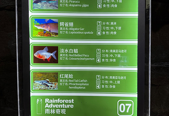 北京海洋馆第 110 张图片