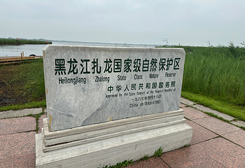 扎龙生态旅游区第 104 张图片