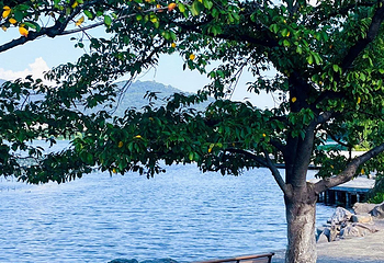 玄武湖景区第 92 张图片