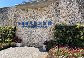 冲绳美丽海水族馆第 78 张图片