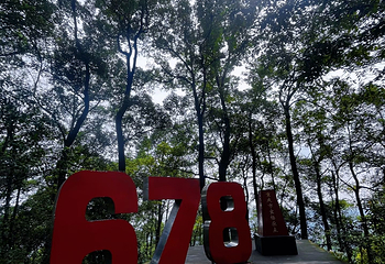 歌乐山国家森林公园第 90 张图片