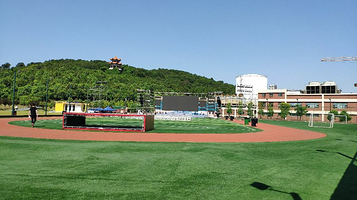 光谷生物城运动场
