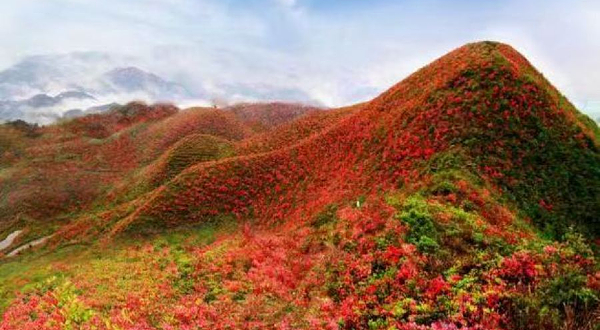 宜黄县芙蓉山风景区