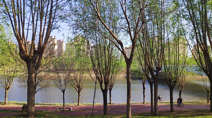 州河国家湿地公园第 1 张图片