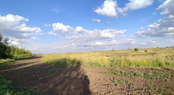 Park of the Birches - Парк Берёз