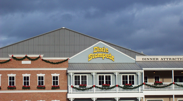 马术歌舞表演餐宴