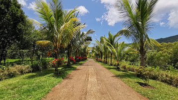 Lavilleon Adventure Park