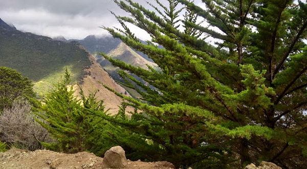 鲁滨逊・克鲁索岛