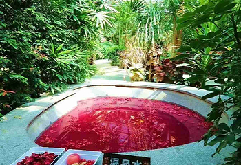 南宫旅游休闲度假区第 36 张图片