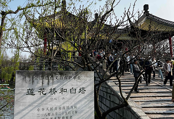 瘦西湖第 248 张图片