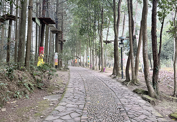神仙居第 213 张图片