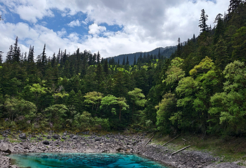 九寨沟风景区第 415 张图片