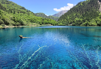 九寨沟风景区第 263 张图片