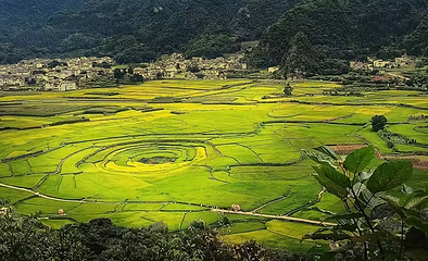 万峰林景区第 90 张图片