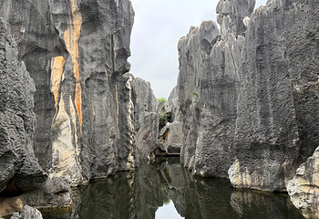 石林风景区第 161 张图片