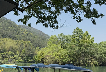 富春江第 52 张图片