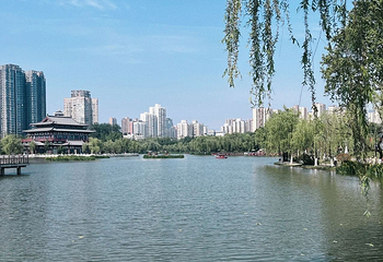兴庆宫公园第 115 张图片