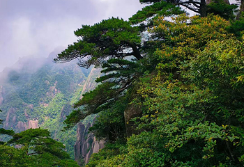 三清山风景区第 187 张图片