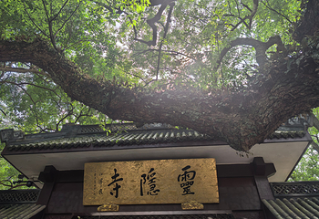 灵隐飞来峰景区第 107 张图片