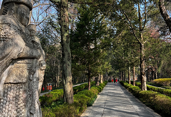 钟山风景名胜区第 121 张图片