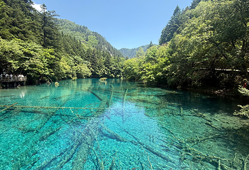 九寨沟风景区第 281 张图片