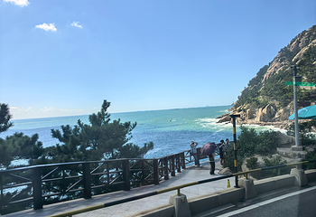 崂山风景区第 286 张图片