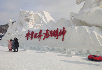 哈尔滨冰雪大世界第 713 张图片