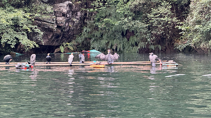 宝峰湖景区第 68 张图片