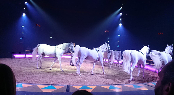 慕尼黑王冠马戏团