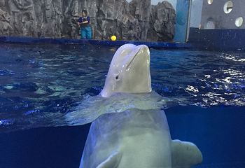 丽水Aqua Planet水族馆第 9 张图片