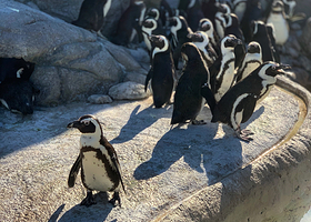 坎姆顿探险水族馆