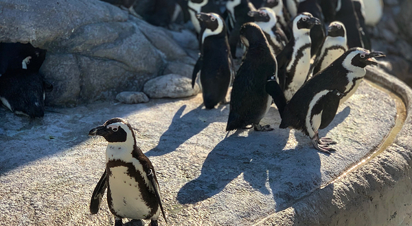 坎姆顿探险水族馆