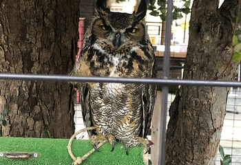 宫地狱神社第 38 张图片