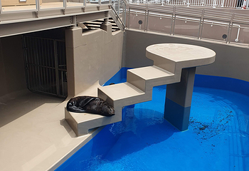 茨城县大洗水族馆第 15 张图片
