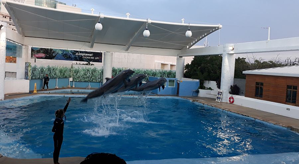 Interactive Aquarium