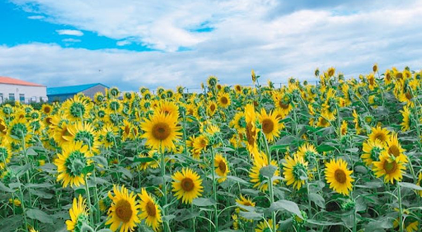 JR日本最南端车站纪念碑