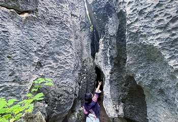 石林风景区第 175 张图片