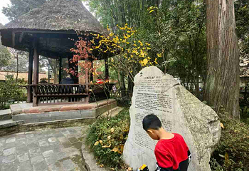 杜甫草堂第 430 张图片