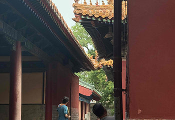曲阜三孔景区第 221 张图片