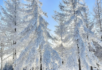 万龙滑雪场第 160 张图片