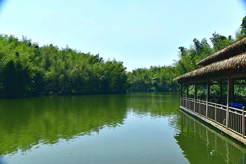 蜀南竹海第 31 张图片