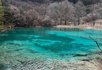 九寨沟风景区第 582 张图片
