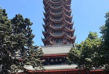 塔子山公园第 16 张图片