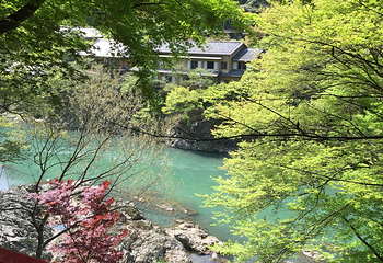 岚山嵯峨野观光小火车第 21 张图片
