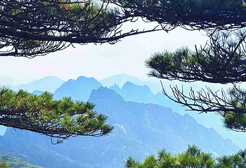 黄山风景区第 113 张图片