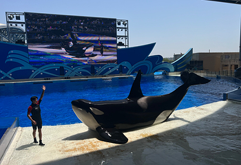 上海海昌海洋公园第 258 张图片